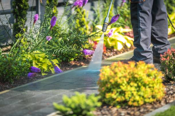 Best Spring Cleaning  in Roaring Spring, PA